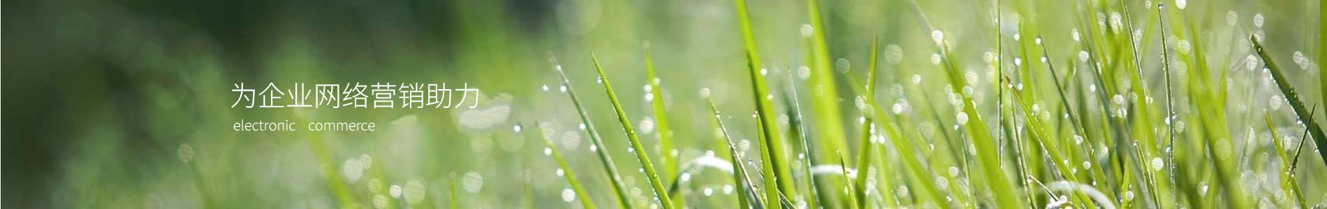 ϺҿƼ޹˾